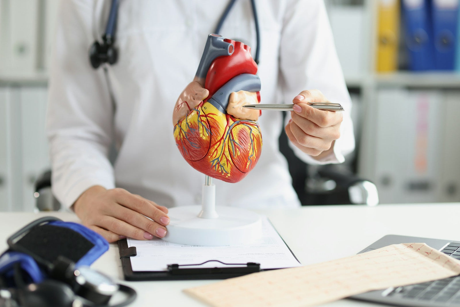 cardiologist