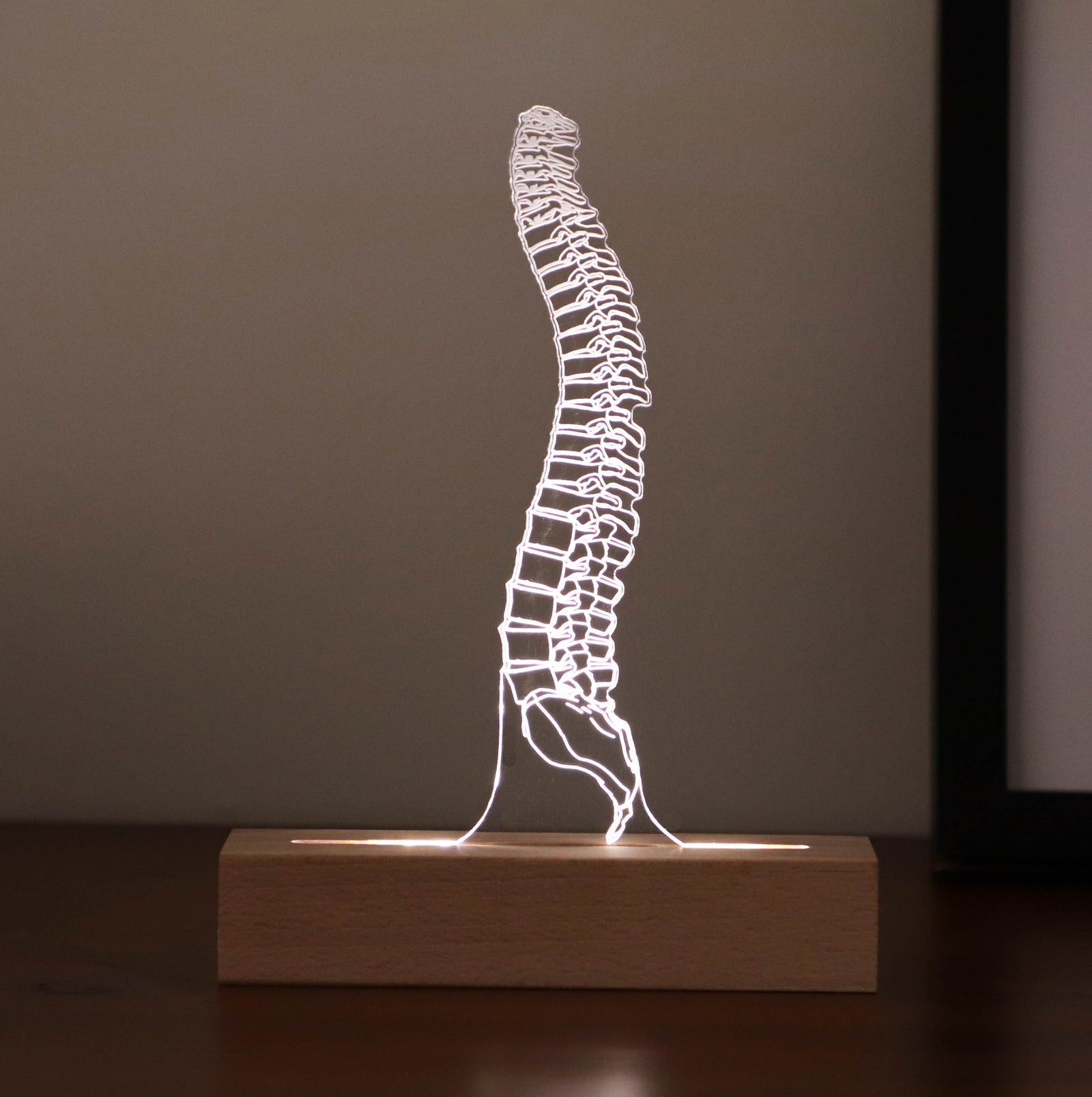 3D illusion lamp featuring a detailed human spine anatomy design, illuminated in a white tone, perfect as a unique gift for chiropractors, orthopedic specialists, or medical professionals focusing on spinal health.
