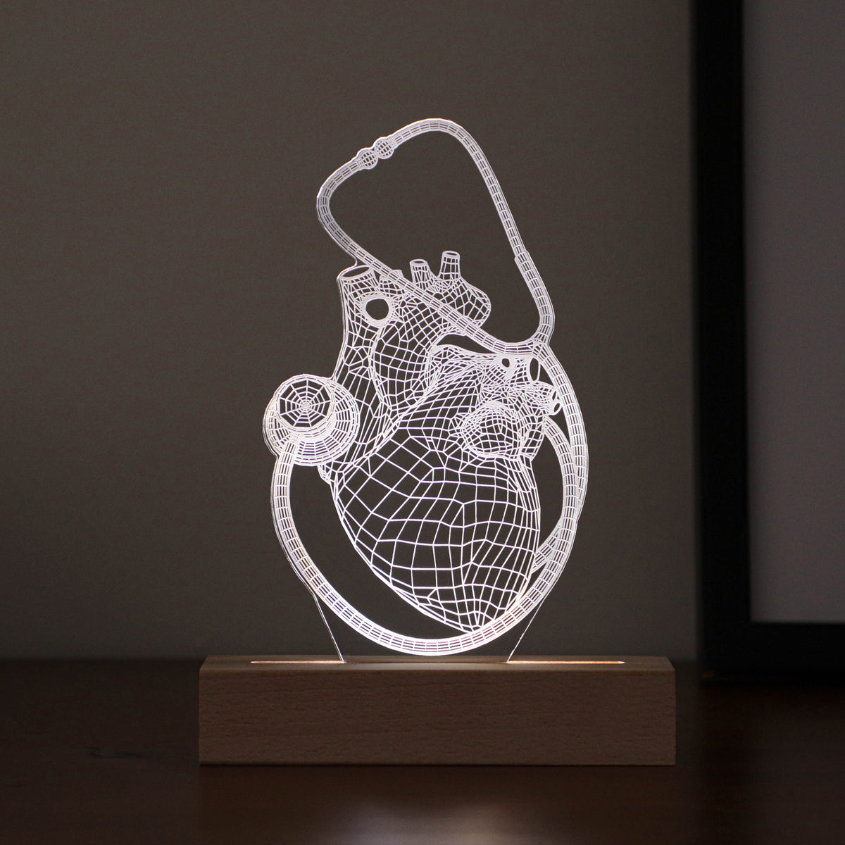 3D illusion lamp featuring a detailed human heart anatomy design combined with a stethoscope, illuminated in a white tone, perfect as a unique and thoughtful gift for cardiologists, doctors, or medical professionals.