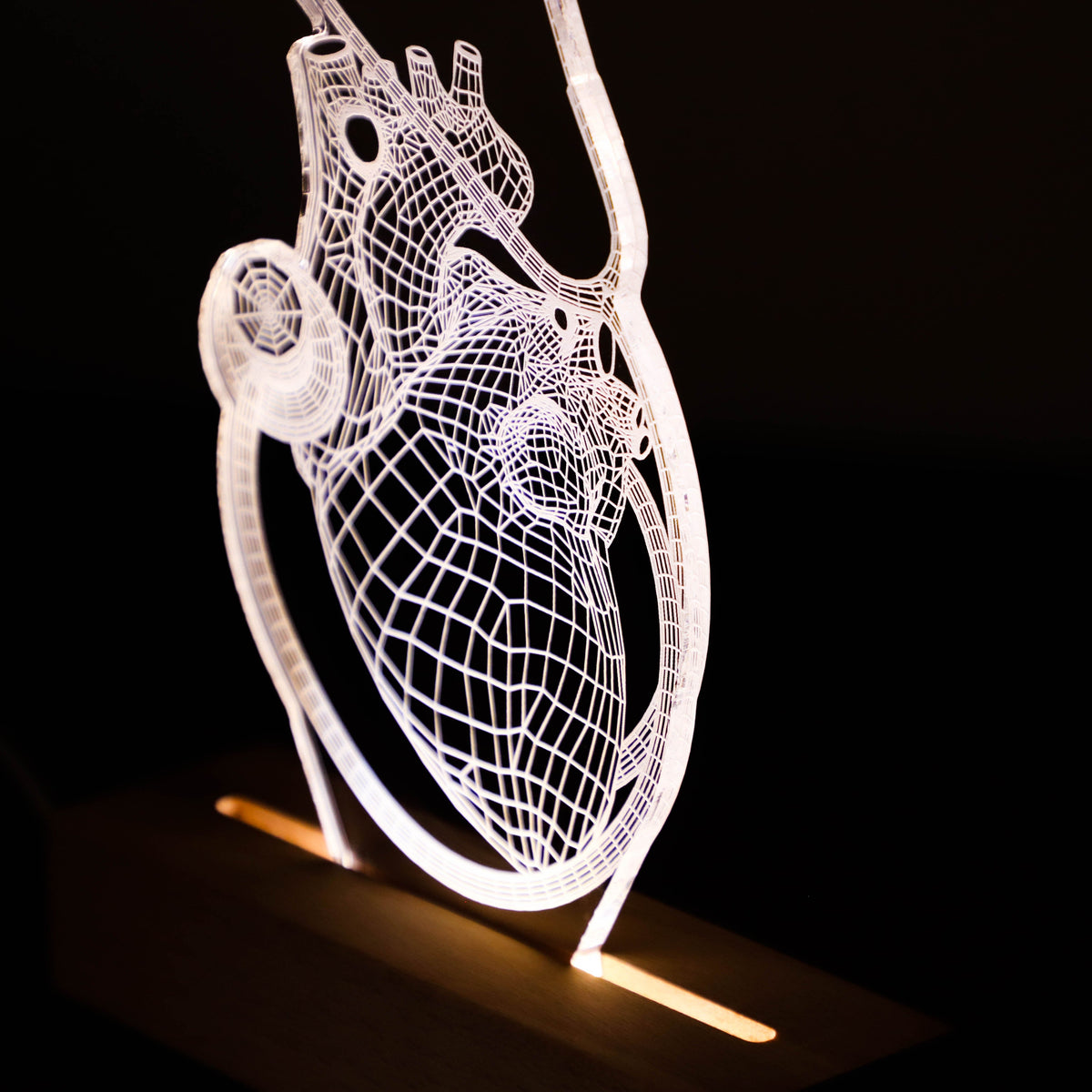 3D illusion lamp featuring a detailed human heart anatomy design combined with a stethoscope, illuminated in a white tone, perfect as a unique and thoughtful gift for cardiologists, doctors, or medical professionals.