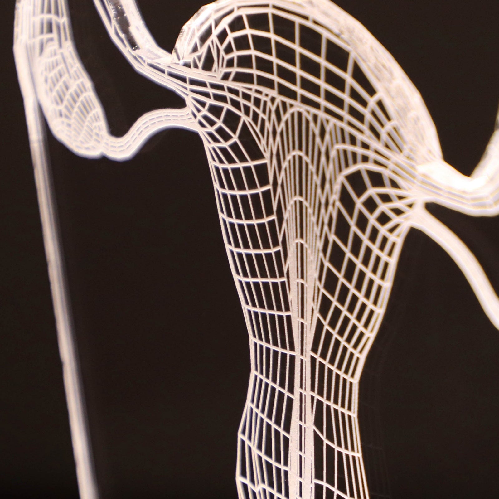 3D illusion lamp featuring a detailed female reproductive system anatomy design in a wireframe style, illuminated in a white tone, with customizable text, perfect as a unique gift for gynecologists or OB-GYN professionals.