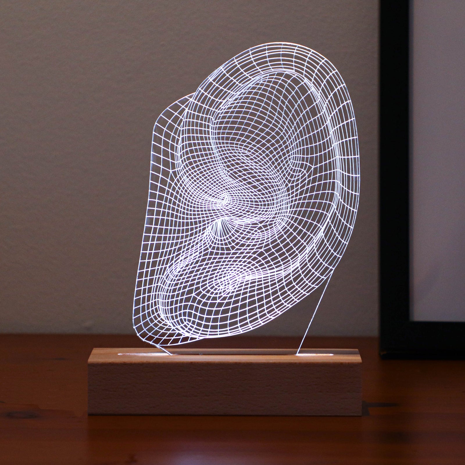 3D illusion lamp featuring a detailed human ear anatomy design, illuminated in a white tone, perfect as a unique and thoughtful gift for ENT specialists, audiologists, or medical professionals focusing on ear health.