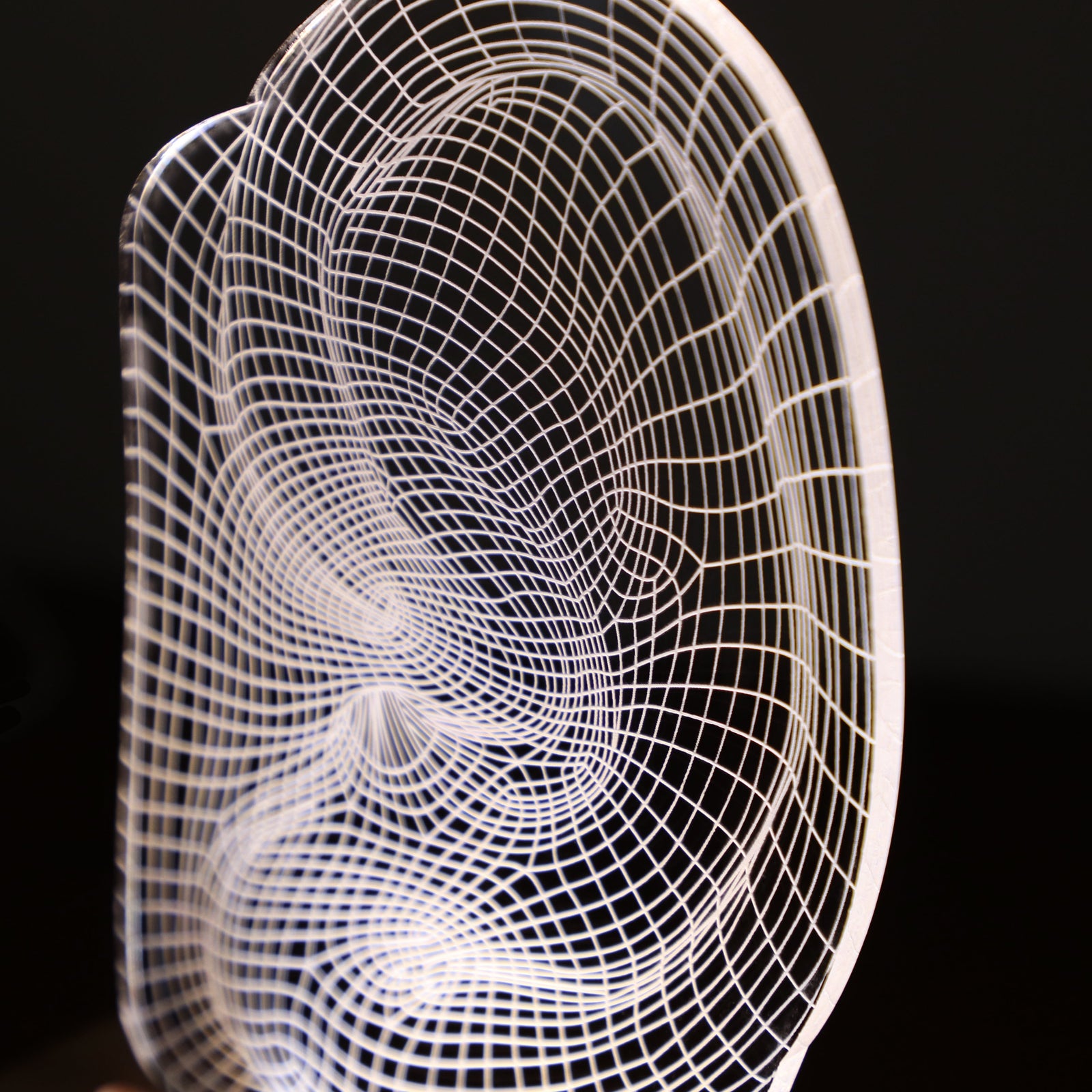 3D illusion lamp featuring a detailed human ear anatomy design, illuminated in a white tone, perfect as a unique and thoughtful gift for ENT specialists, audiologists, or medical professionals focusing on ear health.