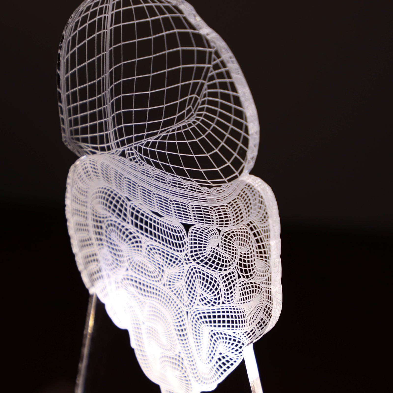 3D illusion lamp featuring a detailed digestive system anatomy design, illuminated in a white tone, personalized with the name 'Dr. Peter Mendez' and the title 'Gastroenterologist,' perfect as a unique and thoughtful gift for medical professionals specializing in digestive health.