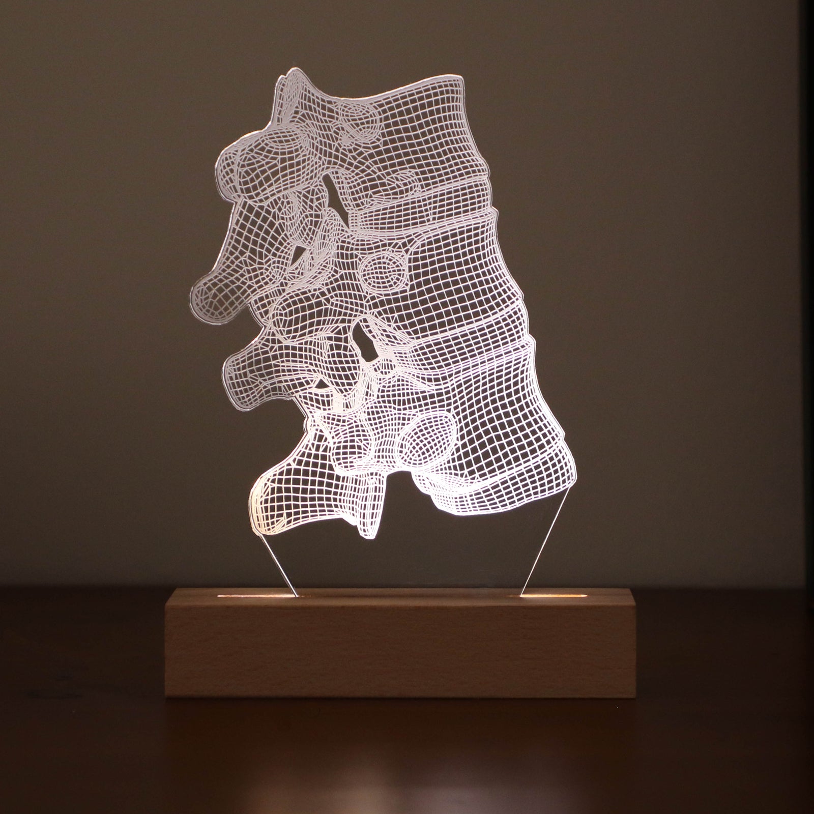 3D illusion lamp featuring a detailed vertebral column anatomy design, illuminated in a white tone, perfect as a unique and thoughtful gift for chiropractors, orthopedic specialists, or medical professionals focusing on spinal health.