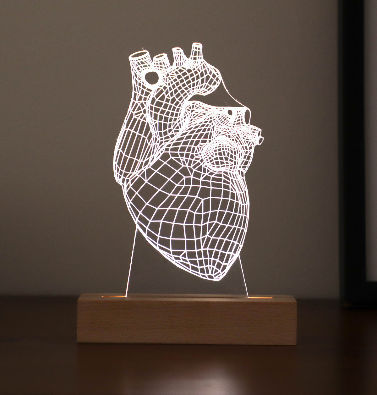 3D illusion lamp featuring a detailed human heart anatomy design, illuminated in a white tone, perfect as a unique and thoughtful gift for cardiologists or medical professionals specializing in heart health.