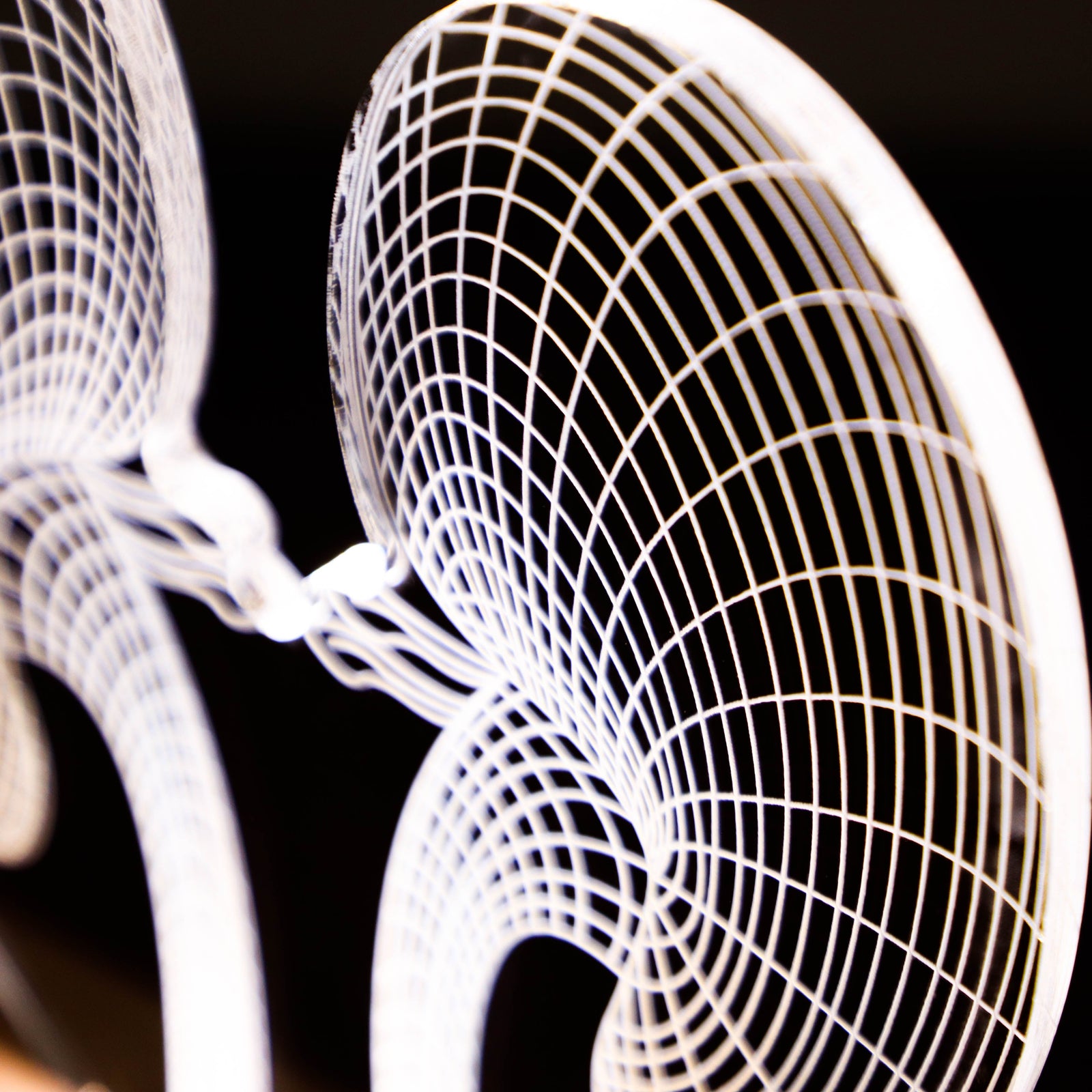 D illusion lamp featuring a detailed human kidney anatomy design, illuminated in a warm white tone, perfect as a unique and thoughtful gift for nephrologists or medical professionals specializing in kidney health.