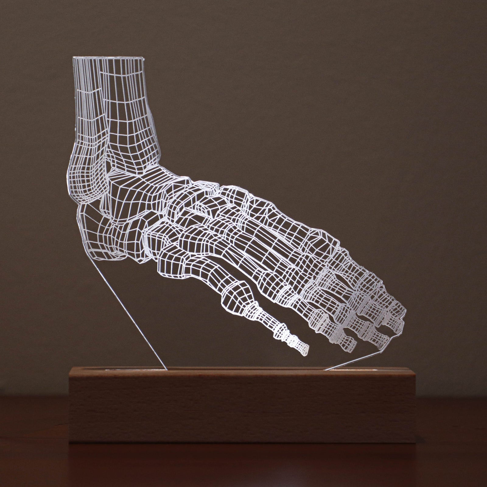 3D illusion lamp featuring a detailed foot anatomy design, illuminated in a white tone, with customizable text, perfect as a unique gift for podiatrists or foot care specialists.