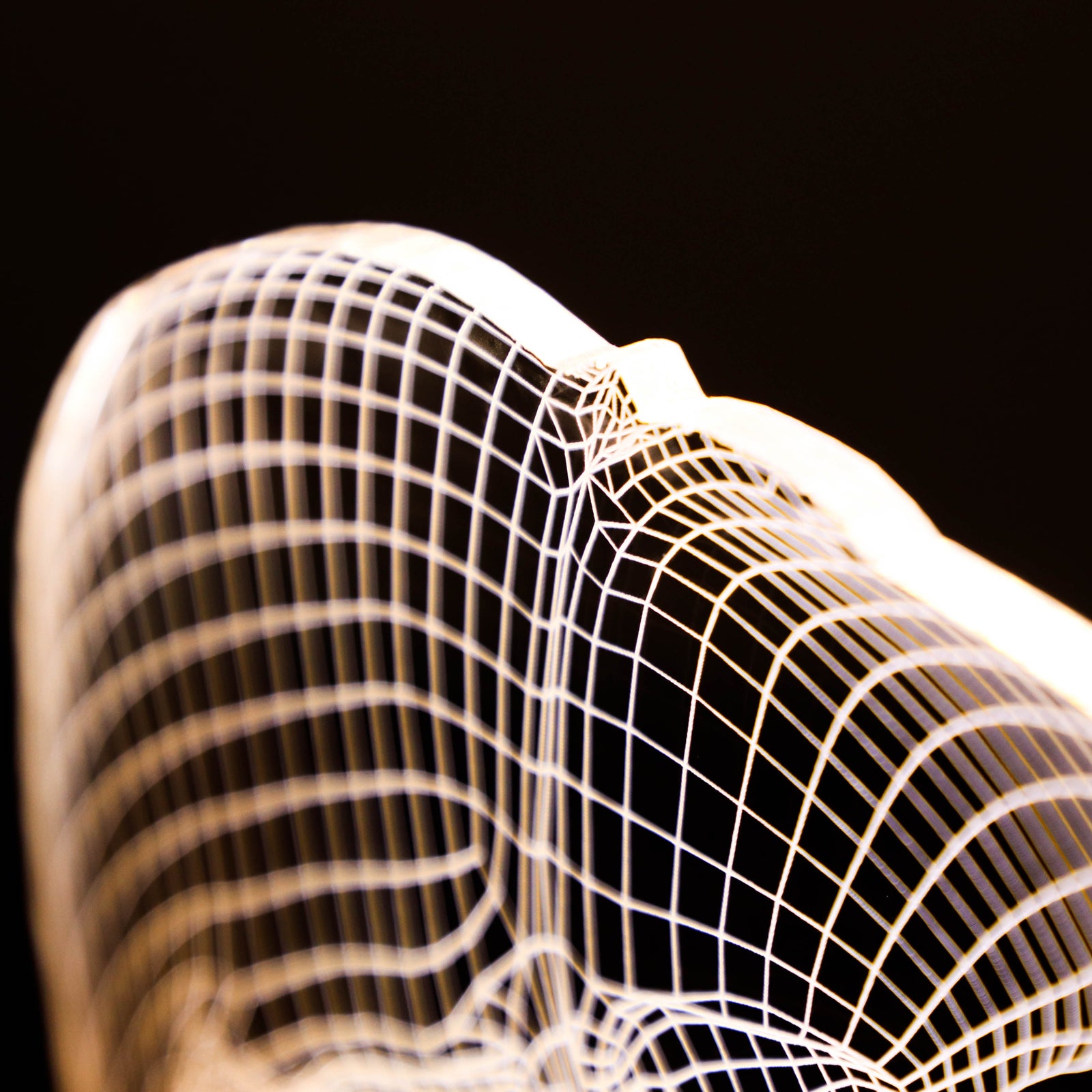 3D illusion lamp featuring a detailed liver anatomy design in a wireframe style, illuminated in a white tone, perfect as a unique gift for hepatologists or medical professionals specializing in liver health.