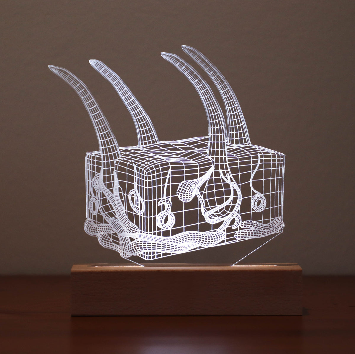 Personalized 3D Illusion led lamp with a skin anatomy design, perfect gift for dermatologists or skincare experts.