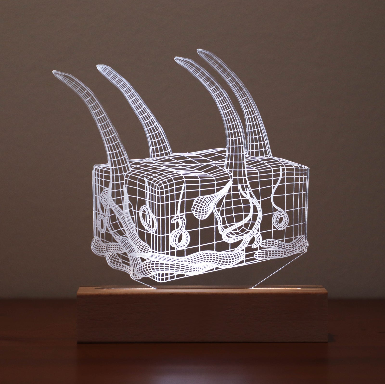 Personalized 3D Illusion led lamp with a skin anatomy design, perfect gift for dermatologists or skincare experts.