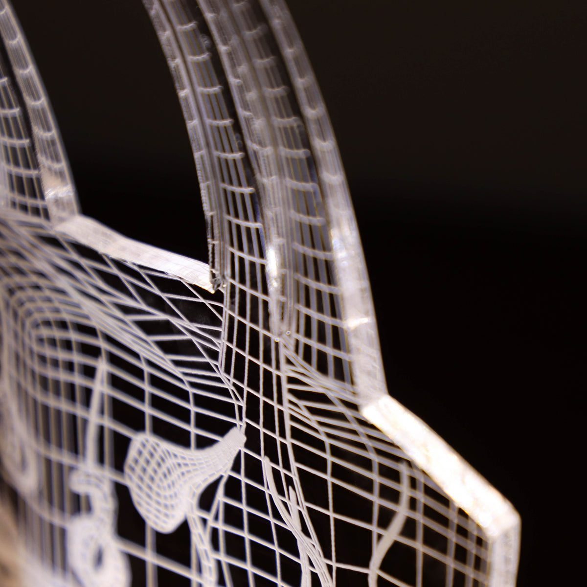 Personalized 3D Illusion led lamp with a skin anatomy design, perfect gift for dermatologists or skincare experts.