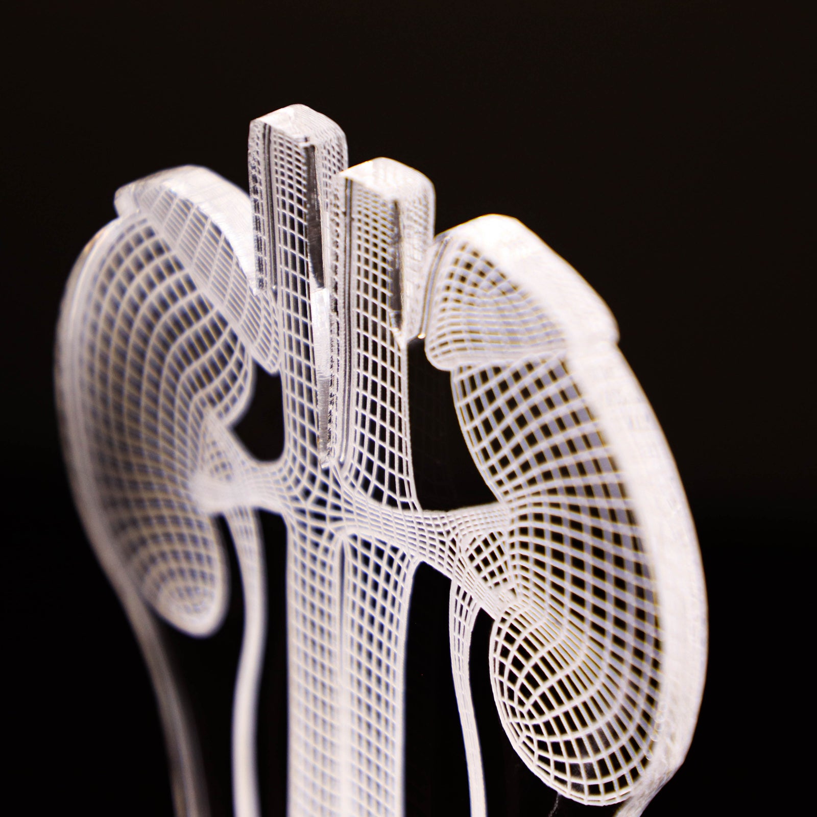 3D illusion lamp featuring a detailed human urinary system anatomy design, illuminated in a warm white tone, perfect as a unique and thoughtful gift for urologists or medical professionals specializing in urinary health.