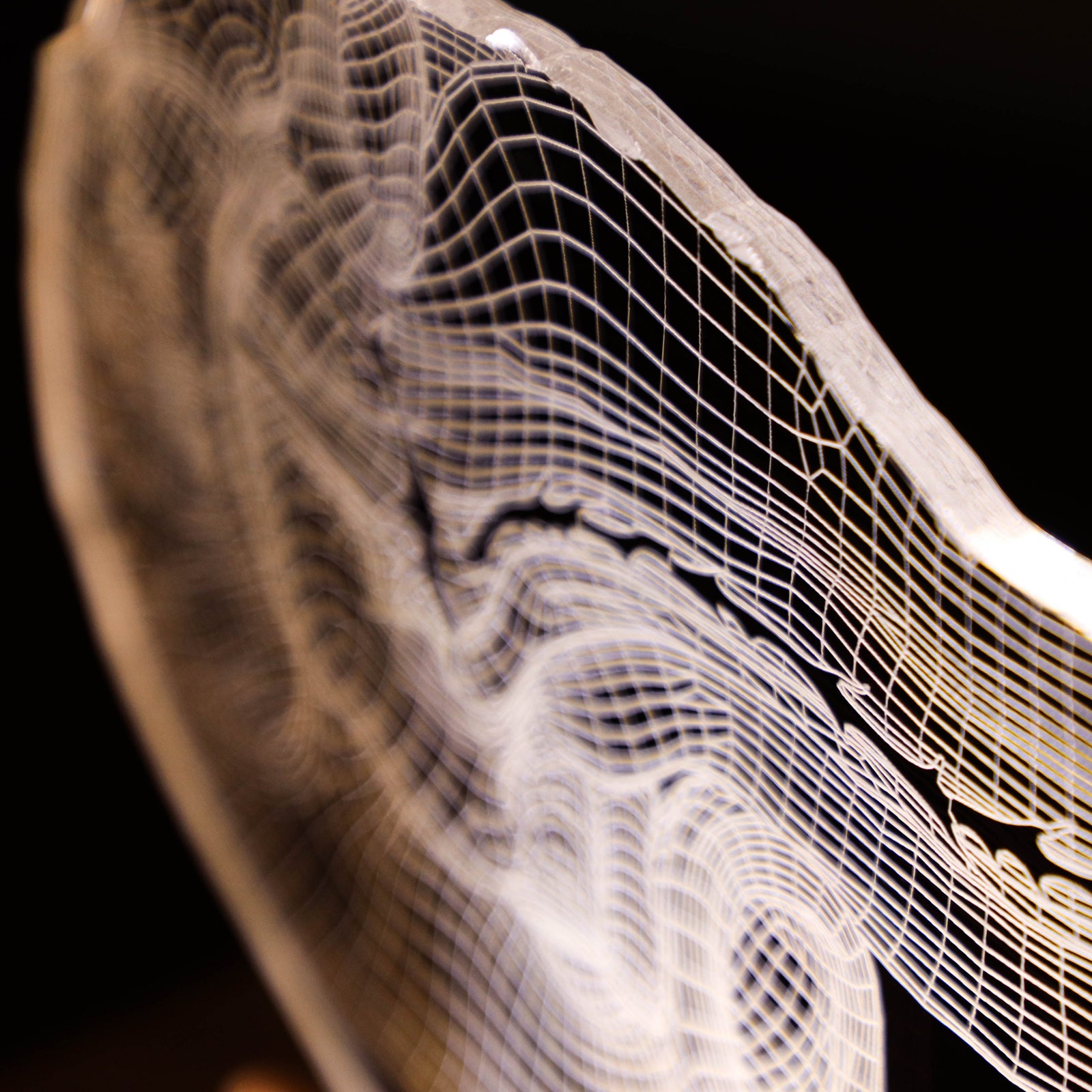 3D illusion lamp featuring a detailed human pancreas anatomy design, illuminated in a white tone, perfect as a unique and thoughtful gift for endocrinologists, gastroenterologists, or medical professionals specializing in pancreatic health.