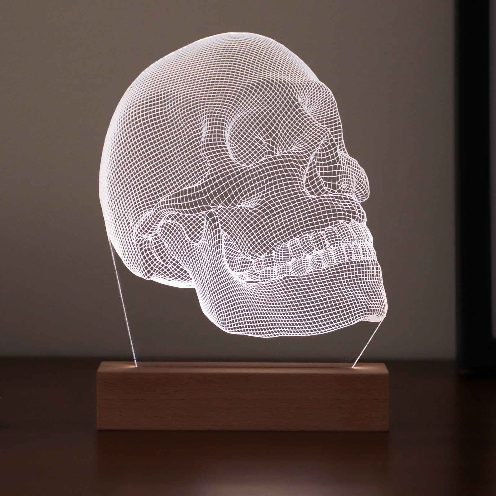 3D illusion lamp featuring a detailed human skull anatomy design, illuminated in a white tone, perfect as a unique and thoughtful gift for medical professionals, anatomists, or educators.