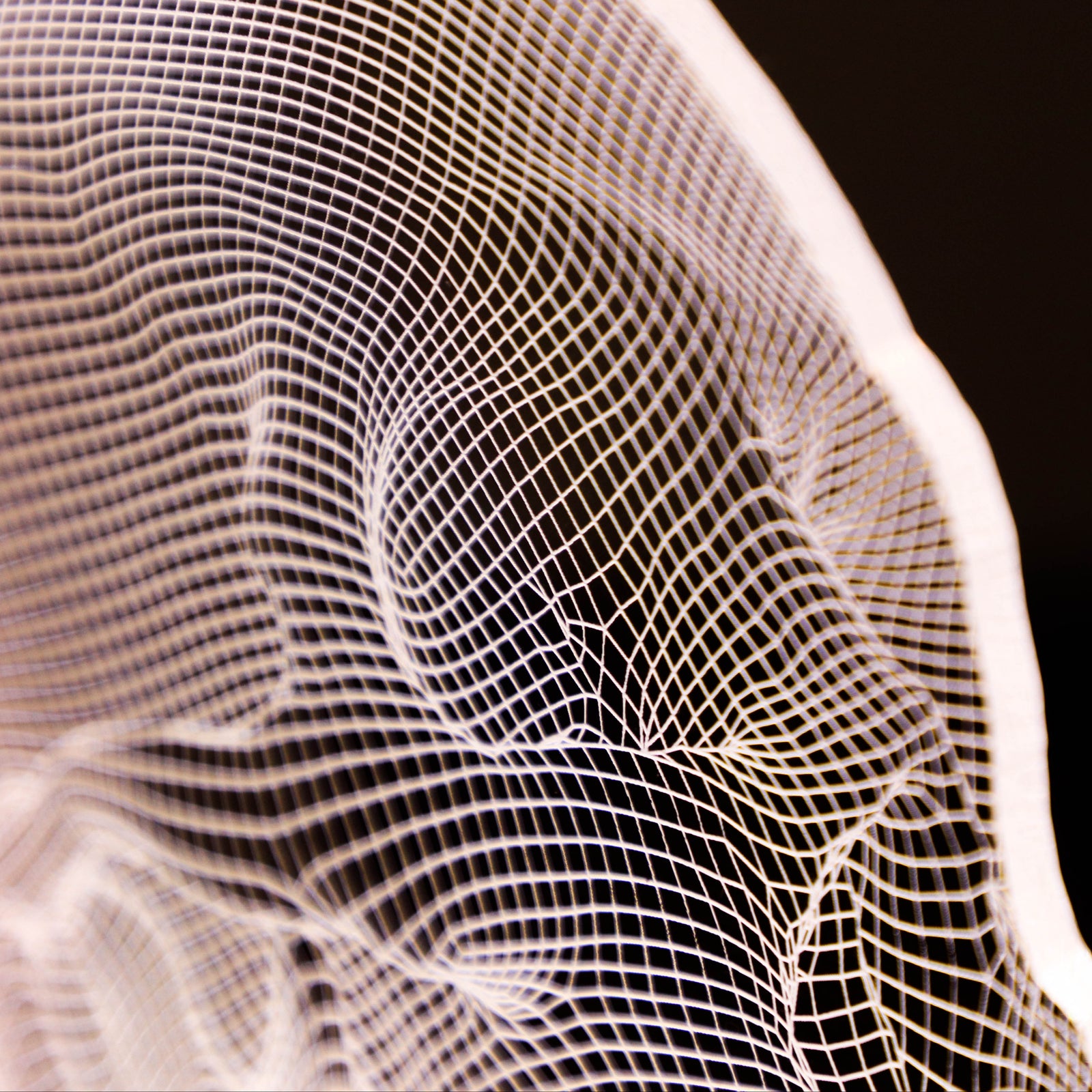 3D illusion lamp featuring a detailed human skull anatomy design, illuminated in a white tone, perfect as a unique and thoughtful gift for medical professionals, anatomists, or educators.