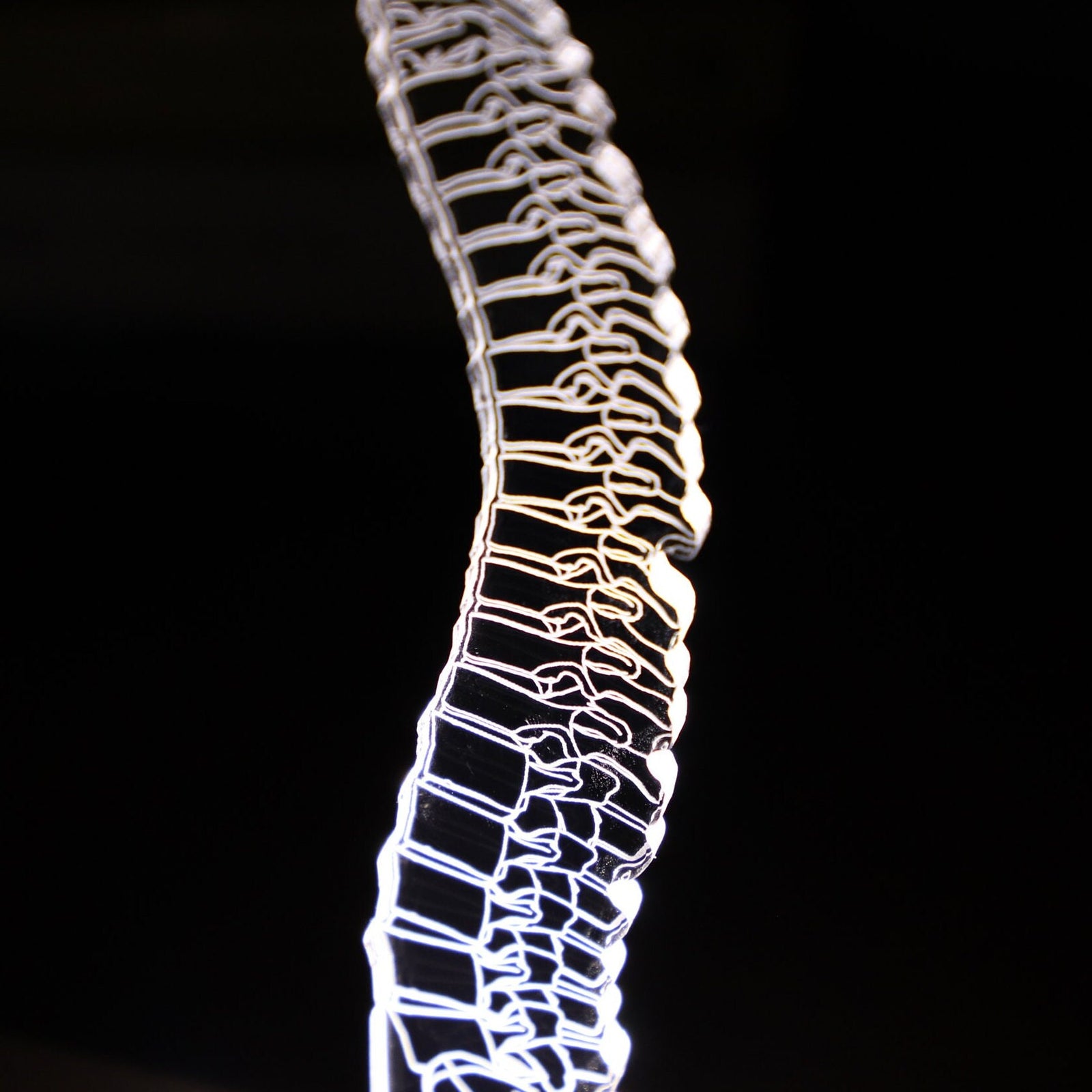 3D illusion lamp featuring a detailed human spine anatomy design, illuminated in a white tone, perfect as a unique gift for chiropractors, orthopedic specialists, or medical professionals focusing on spinal health.