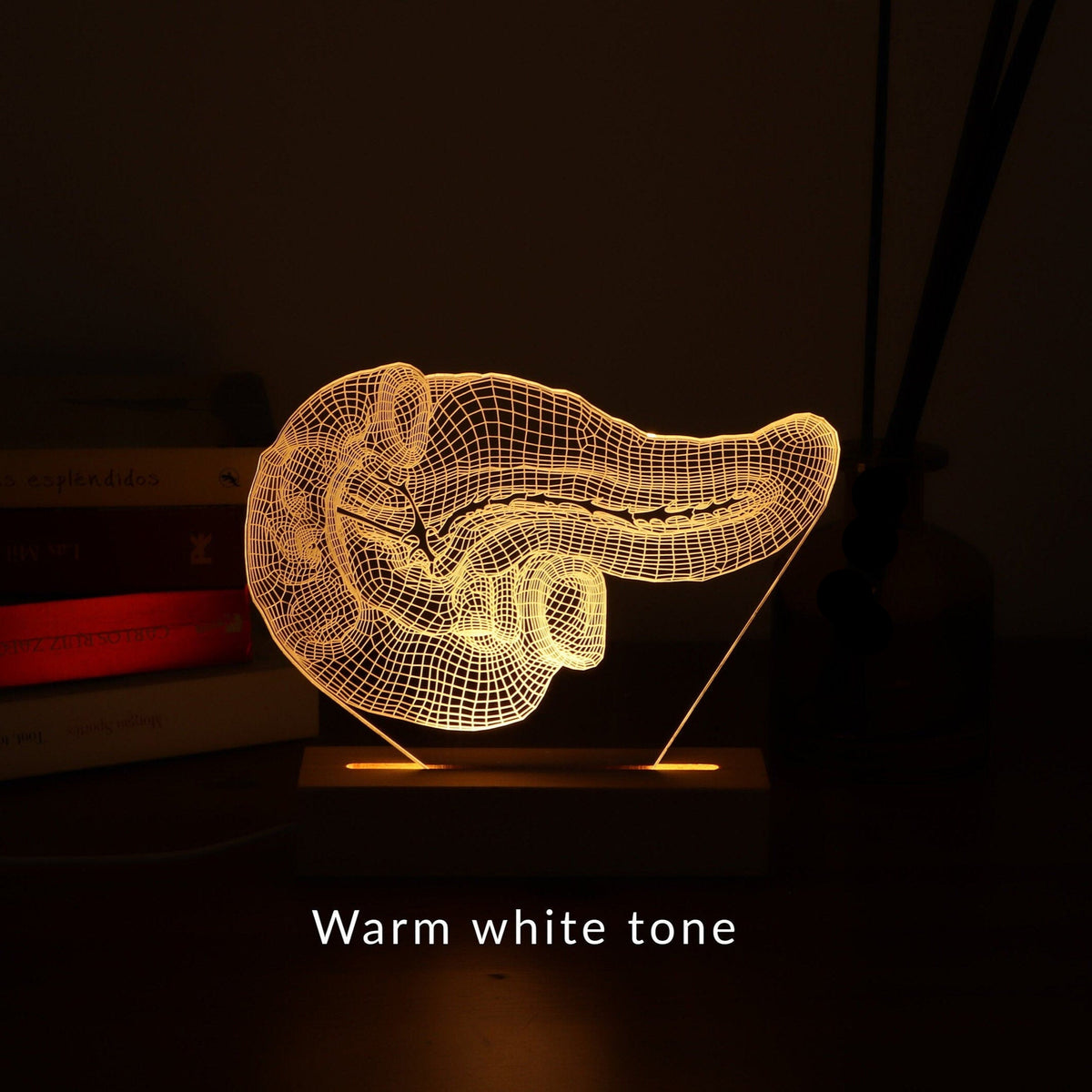 3D illusion lamp featuring a detailed human pancreas anatomy design, illuminated in a warm white tone, perfect as a unique and thoughtful gift for endocrinologists, gastroenterologists, or medical professionals specializing in pancreatic health.