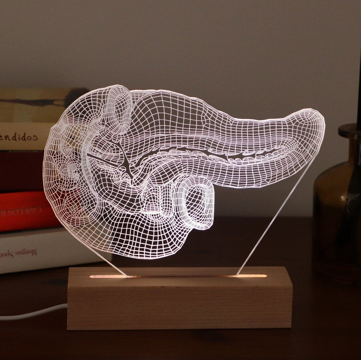 3D illusion lamp featuring a detailed human pancreas anatomy design, illuminated in a white tone, perfect as a unique and thoughtful gift for endocrinologists, gastroenterologists, or medical professionals specializing in pancreatic health.