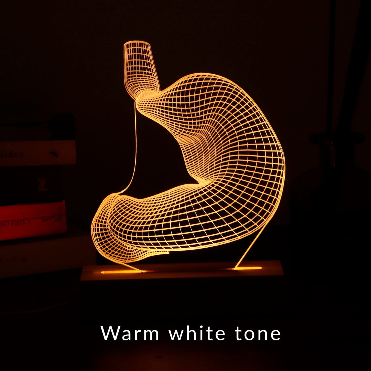3D illusion lamp featuring a detailed wireframe design of a human stomach, illuminated in a white tone, perfect as a unique gift for gastroenterologists or medical professionals specializing in digestive health.