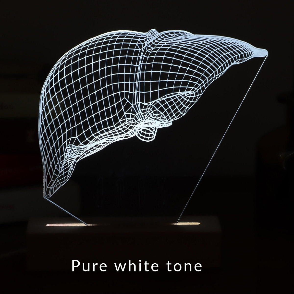 3D illusion lamp featuring a detailed liver anatomy design in a wireframe style, illuminated in a white tone, perfect as a unique gift for hepatologists or medical professionals specializing in liver health.