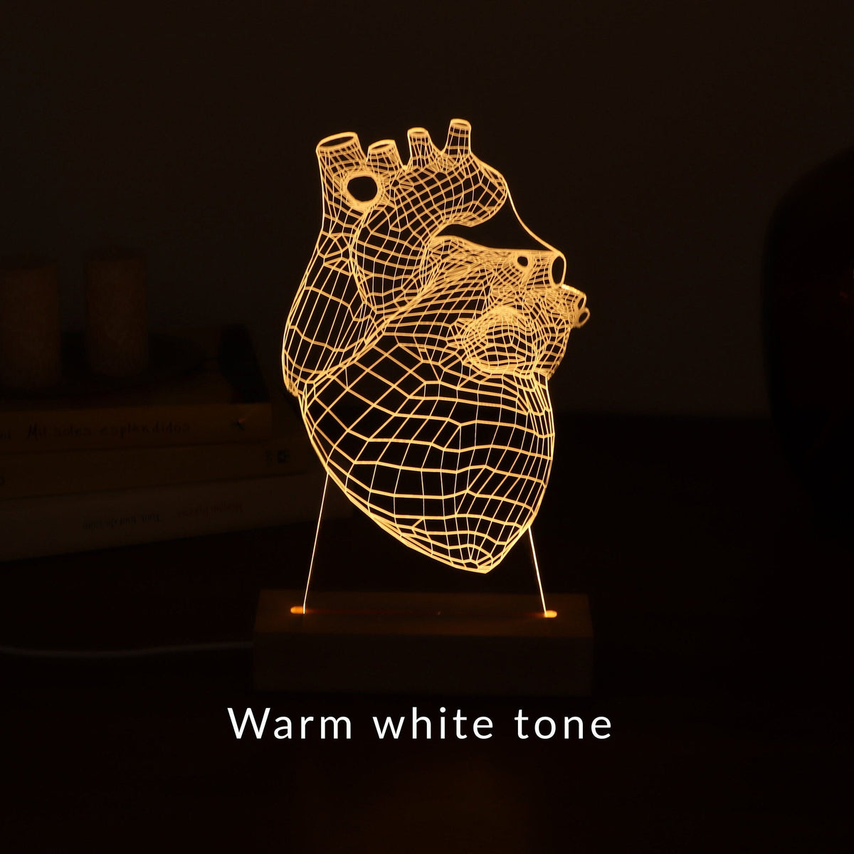 3D illusion lamp featuring a detailed human heart anatomy design, illuminated in a warm white tone, perfect as a unique and thoughtful gift for cardiologists or medical professionals specializing in heart health.