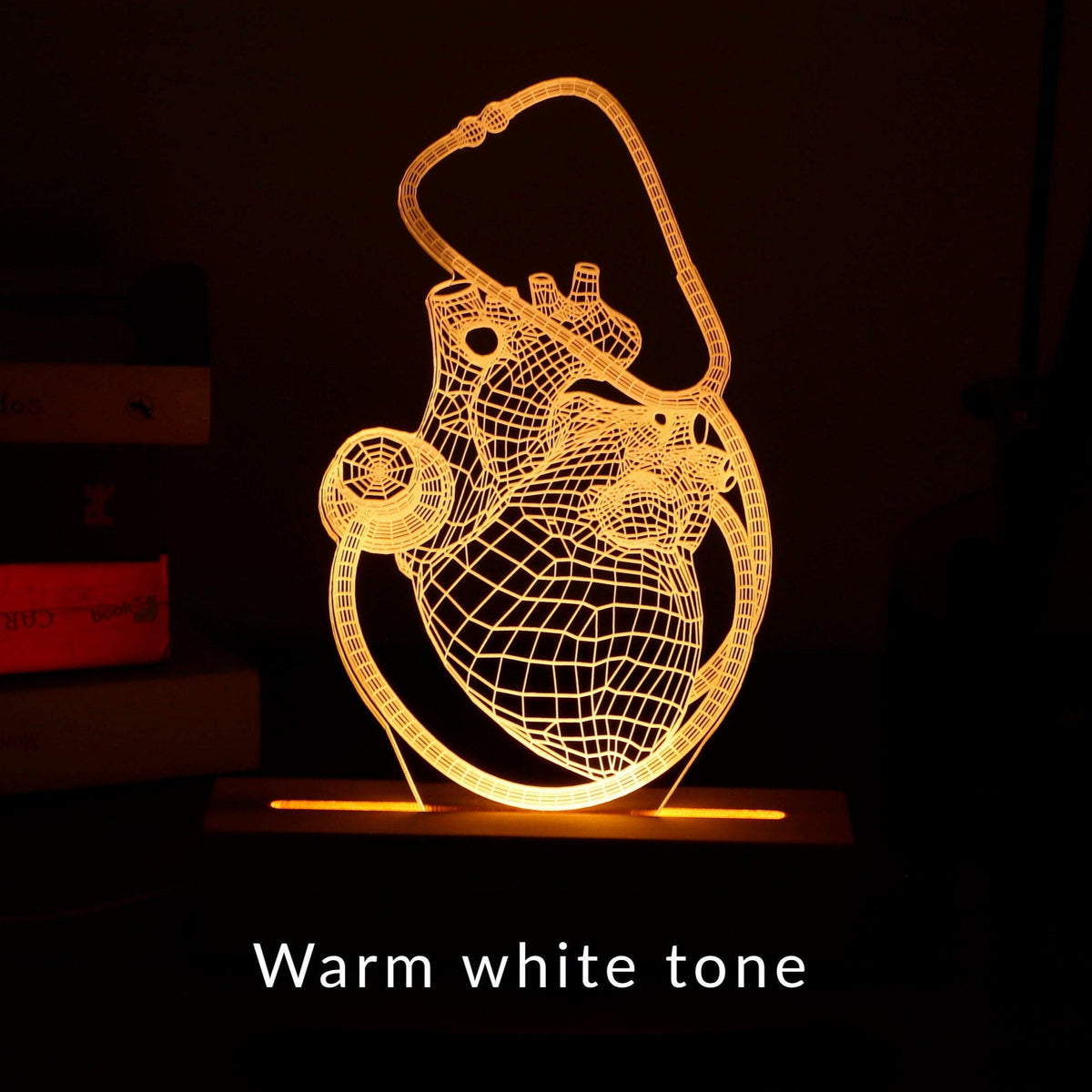 3D illusion lamp featuring a detailed human heart anatomy design combined with a stethoscope, illuminated in a warm white tone, perfect as a unique and thoughtful gift for cardiologists, doctors, or medical professionals.