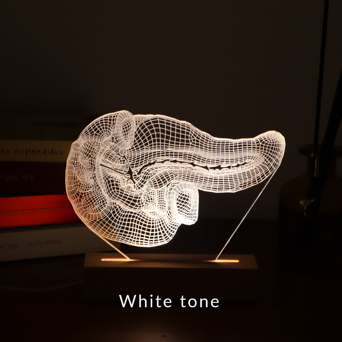 3D illusion lamp featuring a detailed human pancreas anatomy design, illuminated in a white tone, perfect as a unique and thoughtful gift for endocrinologists, gastroenterologists, or medical professionals specializing in pancreatic health.