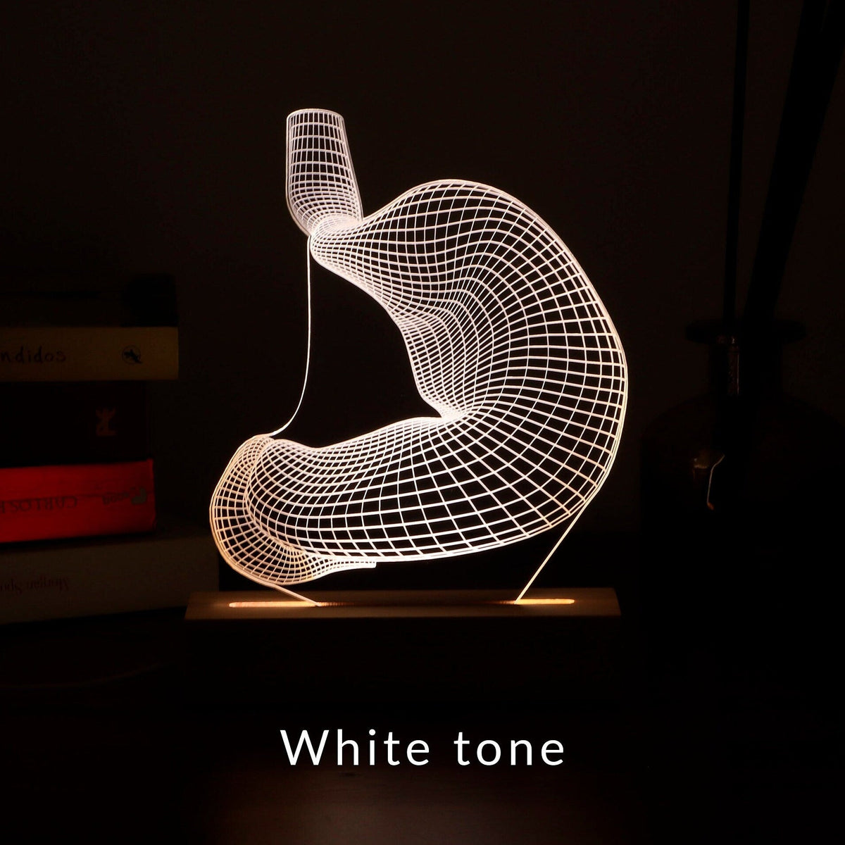 3D illusion lamp featuring a detailed wireframe design of a human stomach, illuminated in a white tone, perfect as a unique gift for gastroenterologists or medical professionals specializing in digestive health.