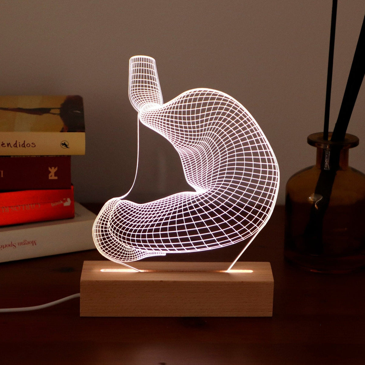 3D illusion lamp featuring a detailed wireframe design of a human stomach, illuminated in a white tone, perfect as a unique gift for gastroenterologists or medical professionals specializing in digestive health.