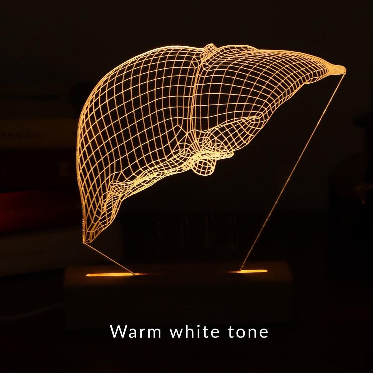 3D illusion lamp featuring a detailed liver anatomy design in a wireframe style, illuminated in a white tone, perfect as a unique gift for hepatologists or medical professionals specializing in liver health.