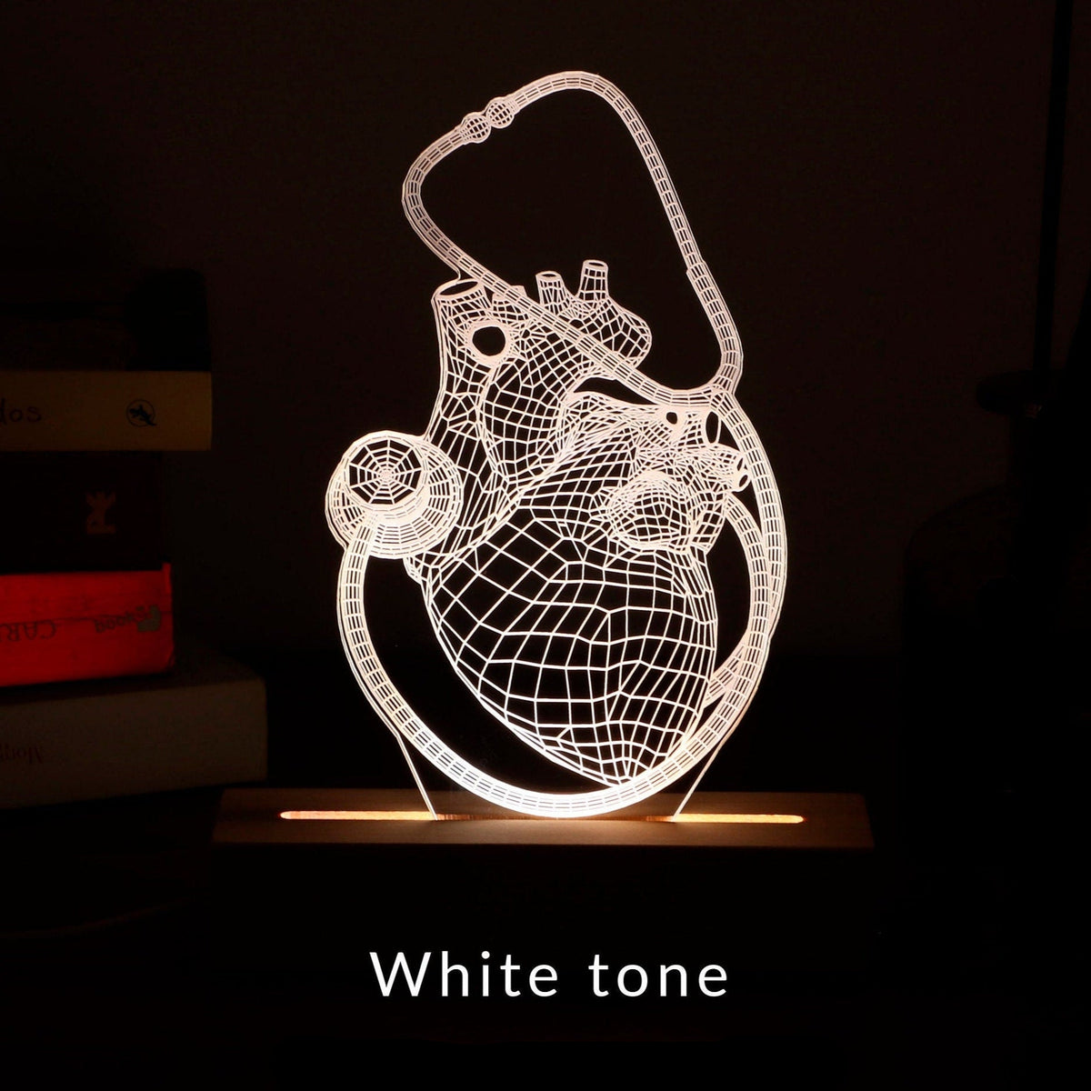 3D illusion lamp featuring a detailed human heart anatomy design combined with a stethoscope, illuminated in a white tone, perfect as a unique and thoughtful gift for cardiologists, doctors, or medical professionals.