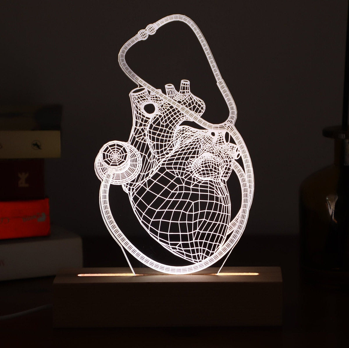3D illusion lamp featuring a detailed human heart anatomy design combined with a stethoscope, illuminated in a white tone, perfect as a unique and thoughtful gift for cardiologists, doctors, or medical professionals.