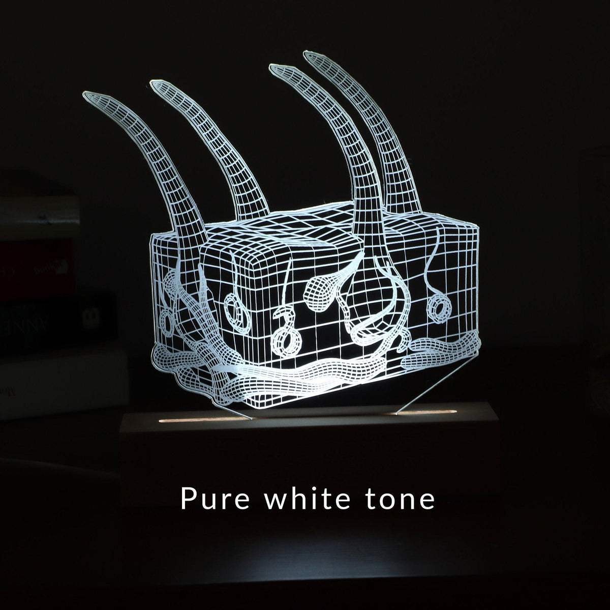 Personalized 3D Illusion led lamp with a skin anatomy design, perfect gift for dermatologists or skincare experts.