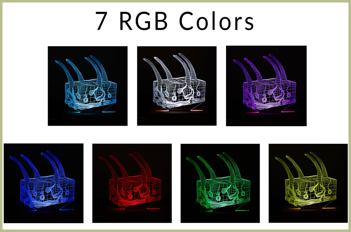 Personalized 3D Illusion led lamp with a skin anatomy design, perfect gift for dermatologists or skincare experts.