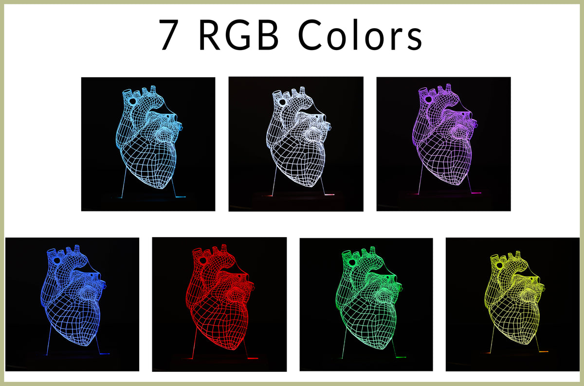 3D illusion lamp featuring a detailed human heart anatomy design, illuminated in a white tone, perfect as a unique and thoughtful gift for cardiologists or medical professionals specializing in heart health.