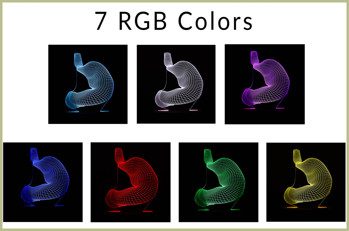 3D illusion lamp featuring a detailed wireframe design of a human stomach, illuminated in a white tone, perfect as a unique gift for gastroenterologists or medical professionals specializing in digestive health.