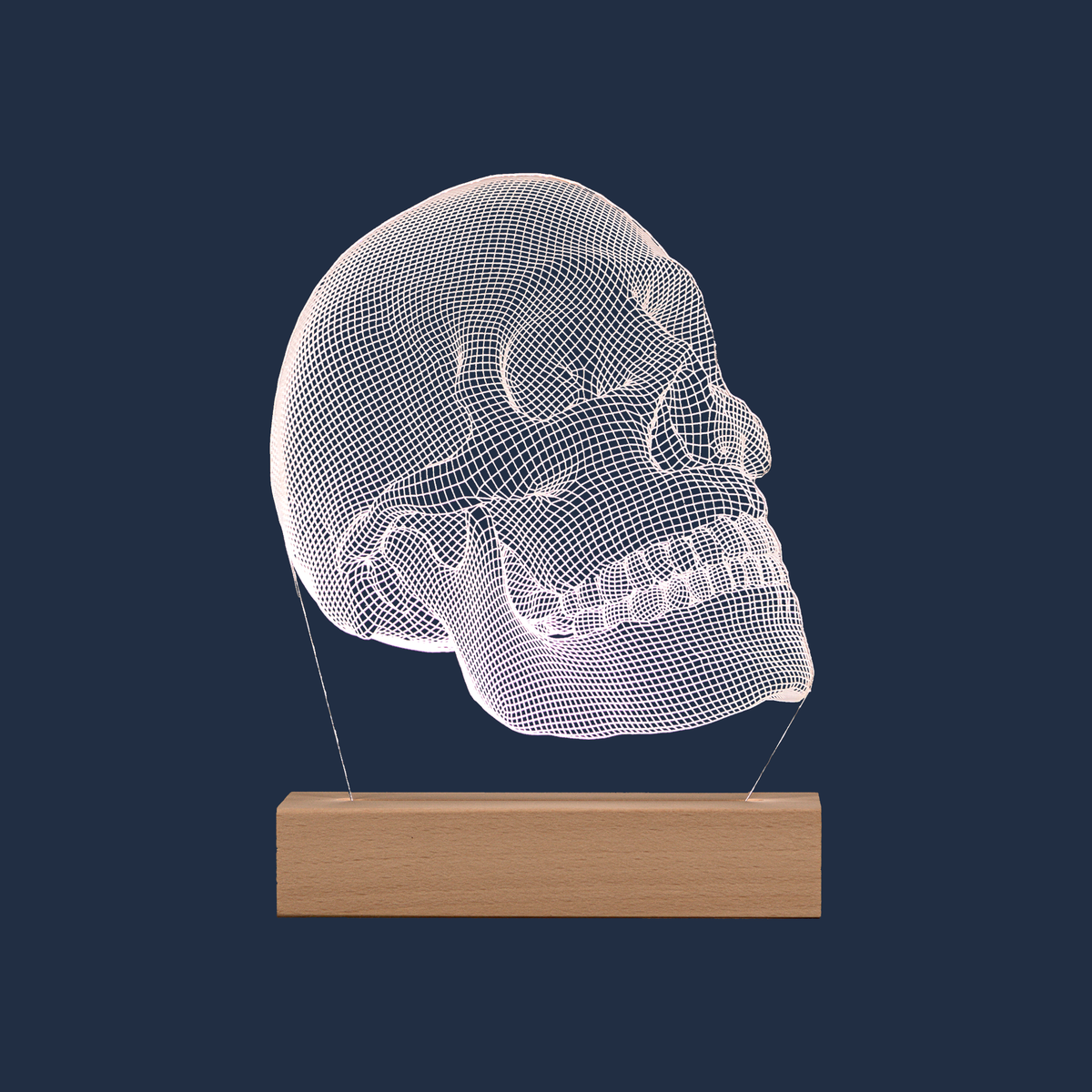 Anatomical Skull LED lamp on a plain background