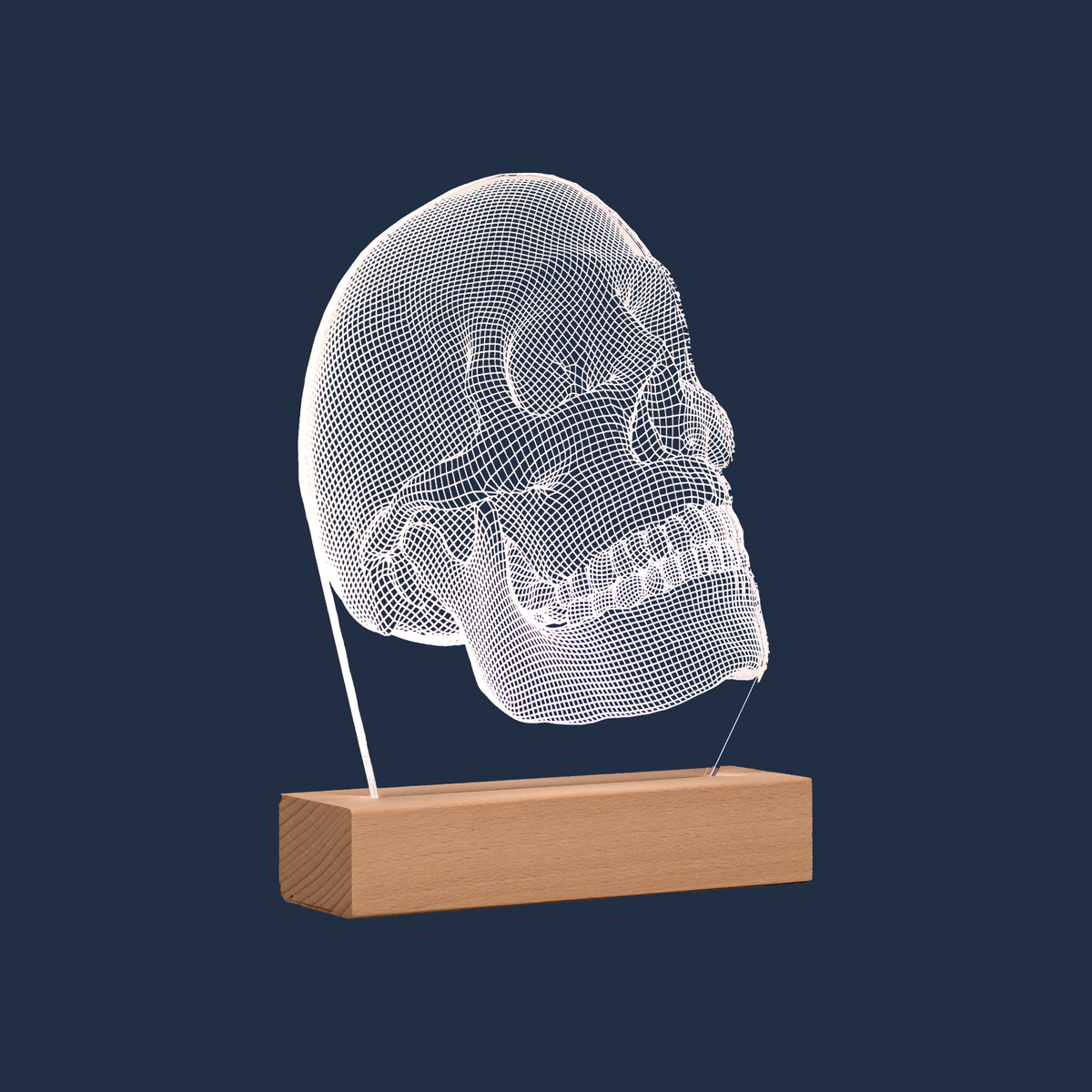 Side profile view of the Anatomical Skull LED lamp