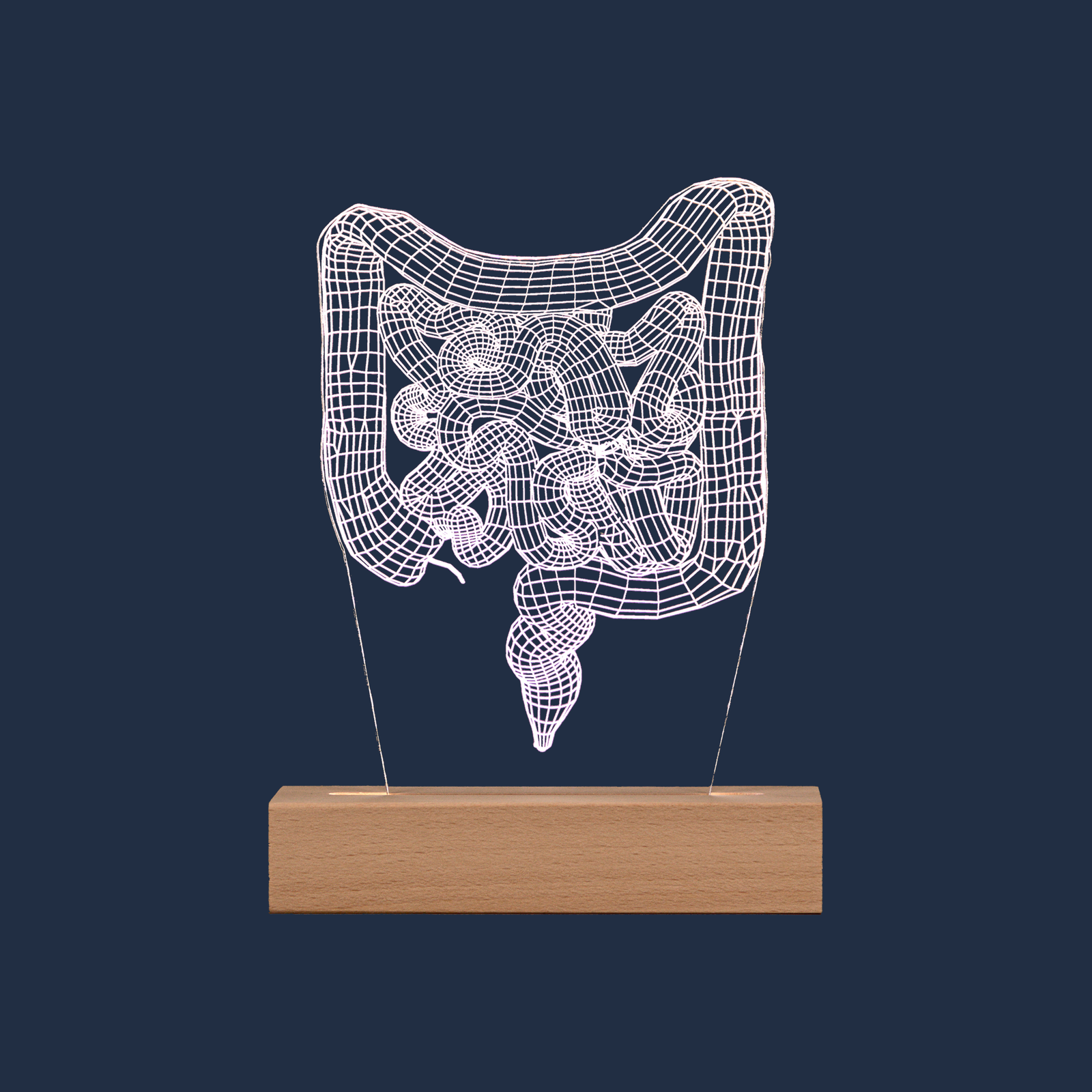 Lámpara LED de Intestino sobre fondo neutro