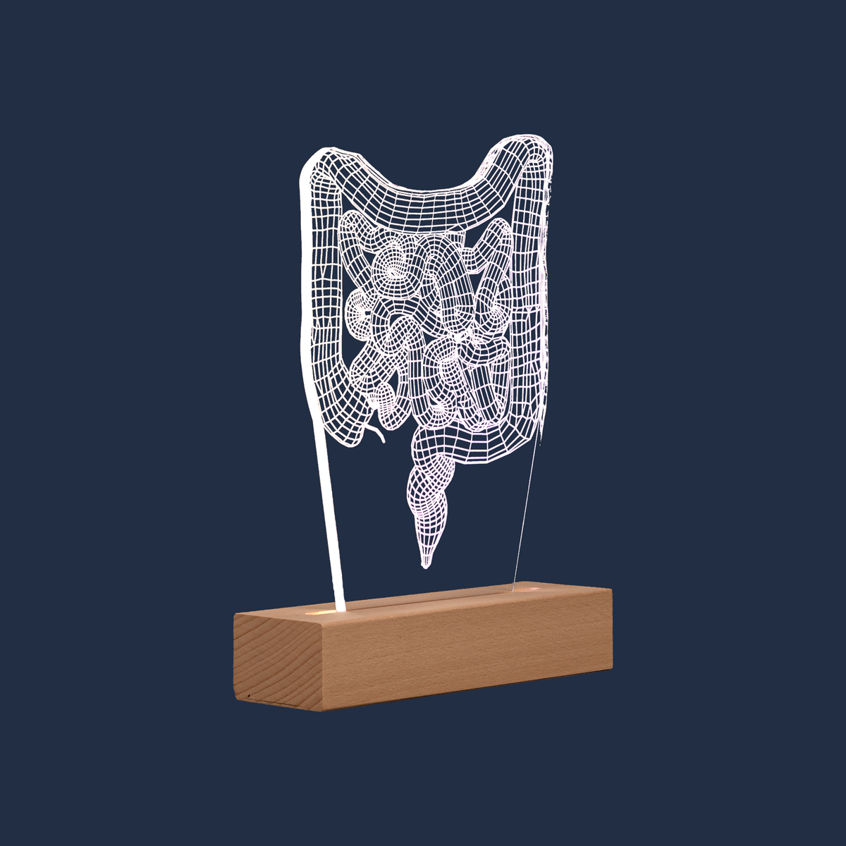 Seitenansicht der Darm-LED-Lampe