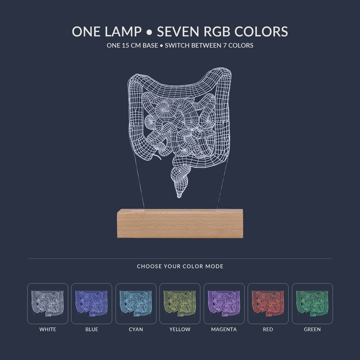 RGB-Farboptionen für die Darm-LED-Lampe