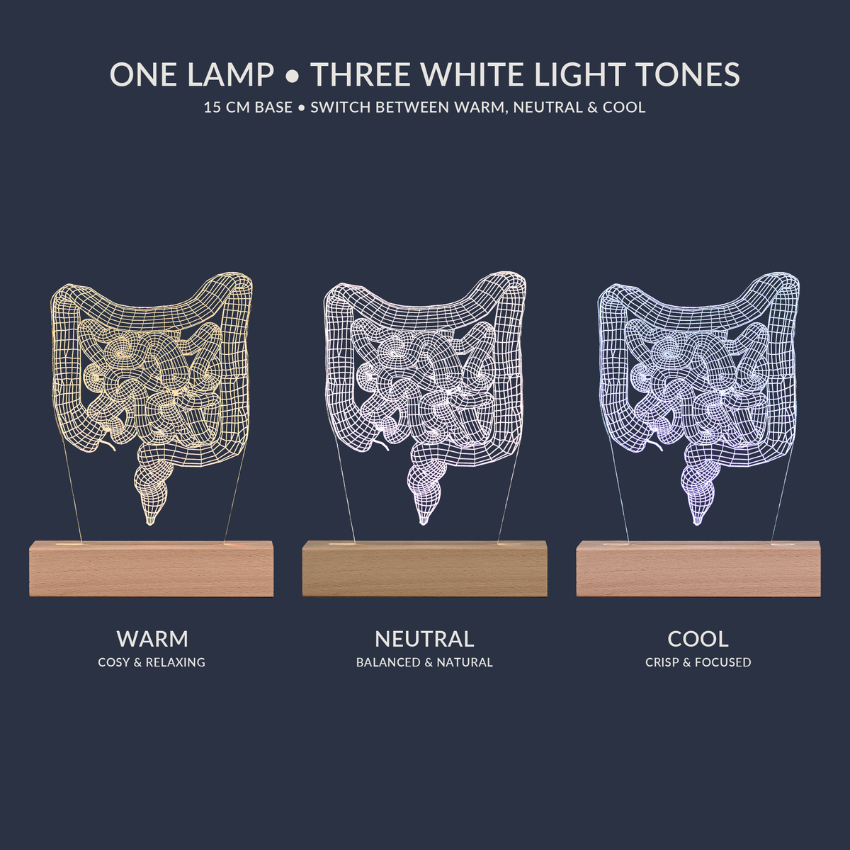 Weißton-Optionen für die Darm-LED-Lampe