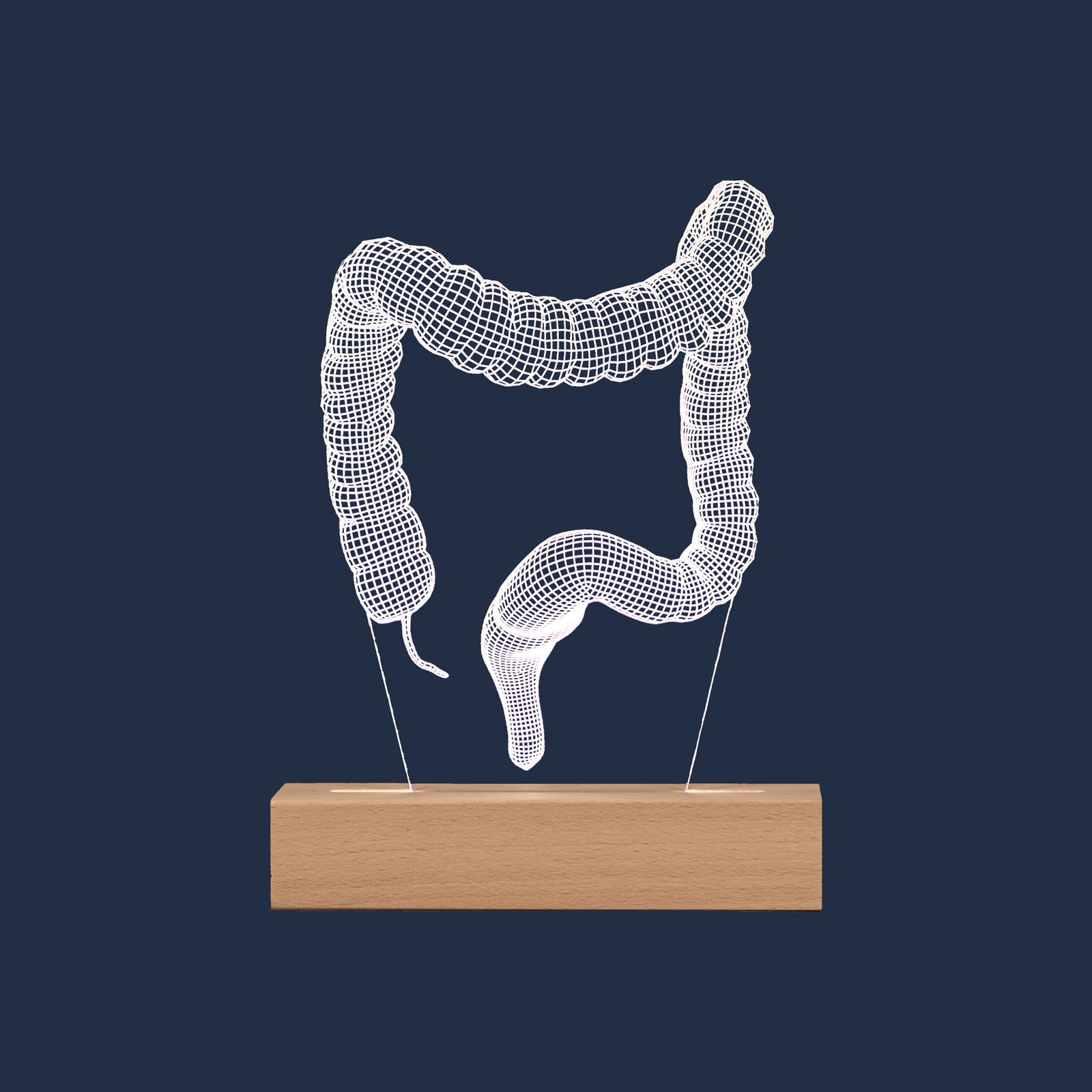 Lámpara LED de Colon sobre fondo neutro