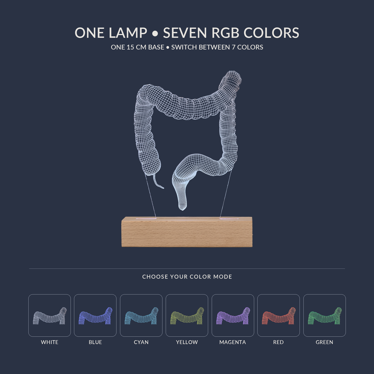 RGB-Farboptionen für die Dickdarm-LED-Lampe