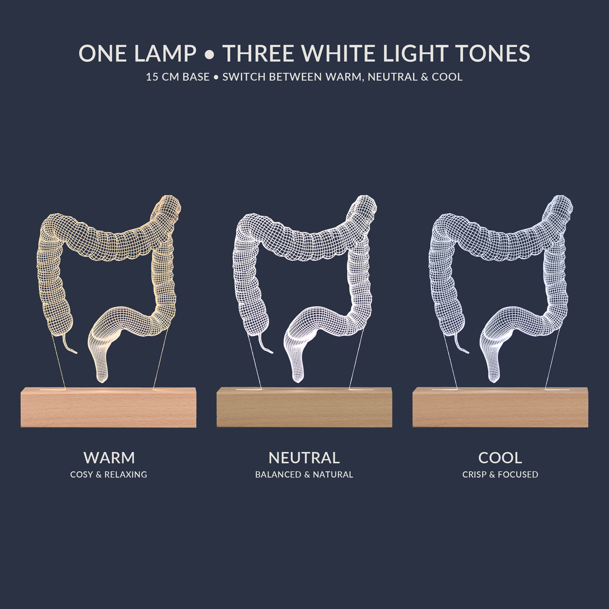Weißton-Optionen für die Dickdarm-LED-Lampe