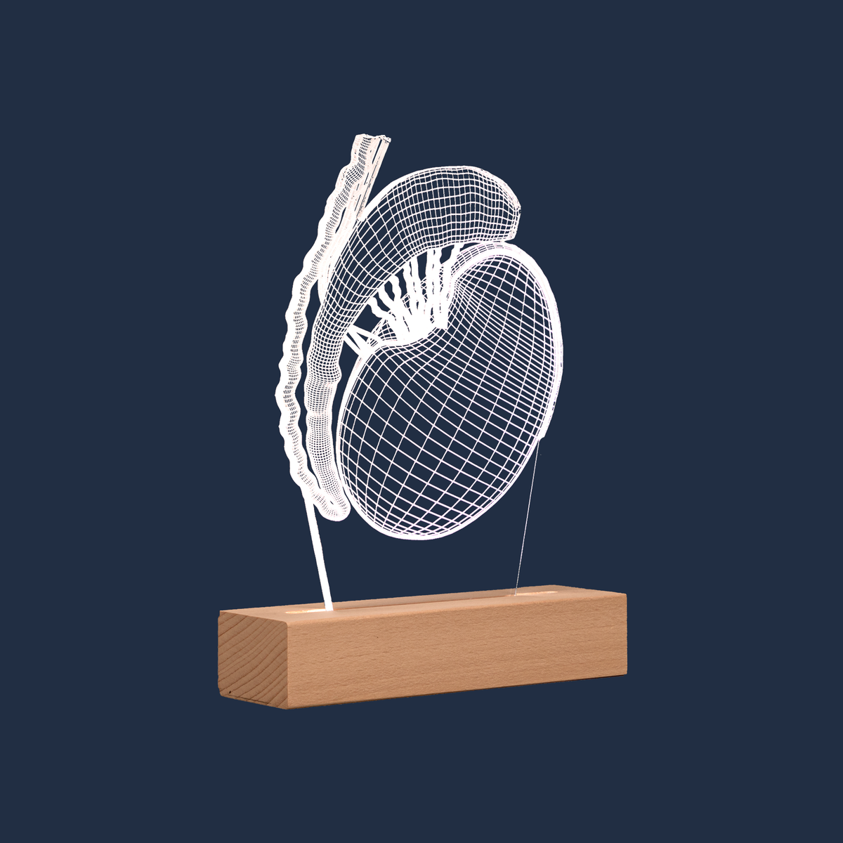 Side profile view of the Testicle LED lamp