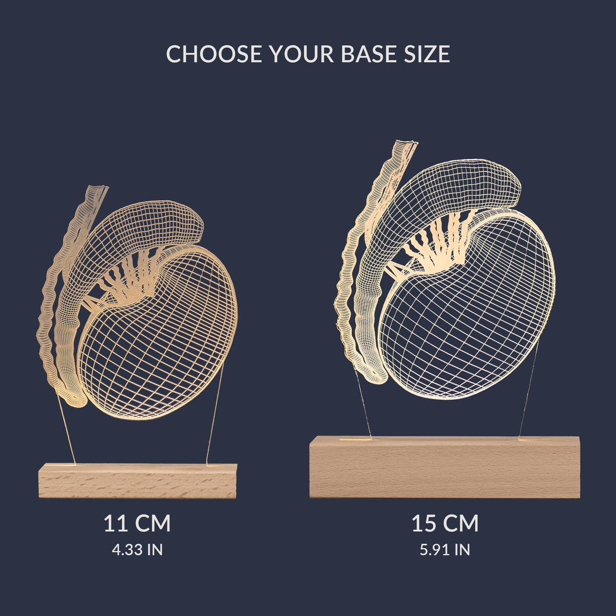 Size comparison chart for the Testicle LED lamp