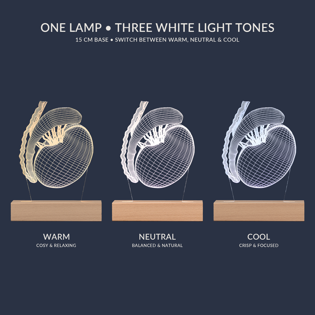 White light tone options for the Testicle LED lamp