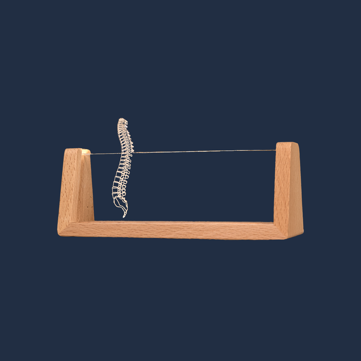 Side profile view of the Chiropractor Spine LED nameplate